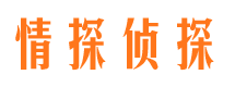 华亭市私家侦探